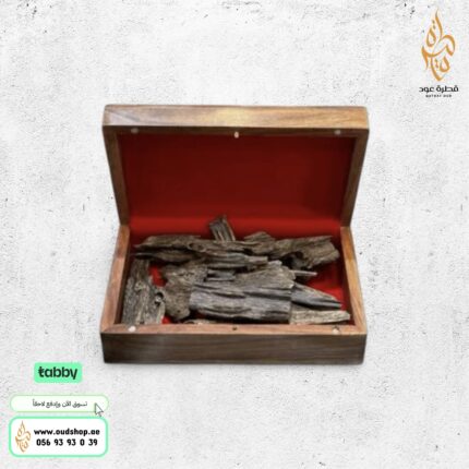 عود ماجد الصباح من عبدالرشيد